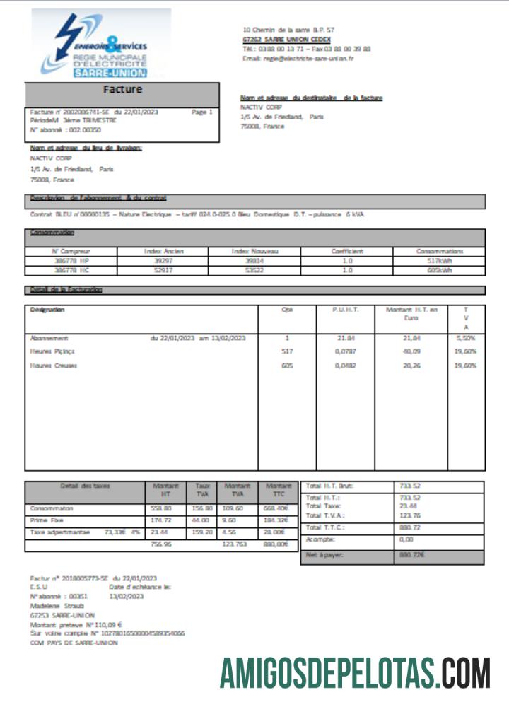 Energias e Serviços Regie Municipal D Electricite Sarre Union Electricity Utility Business Bill, SCR exemplo real
